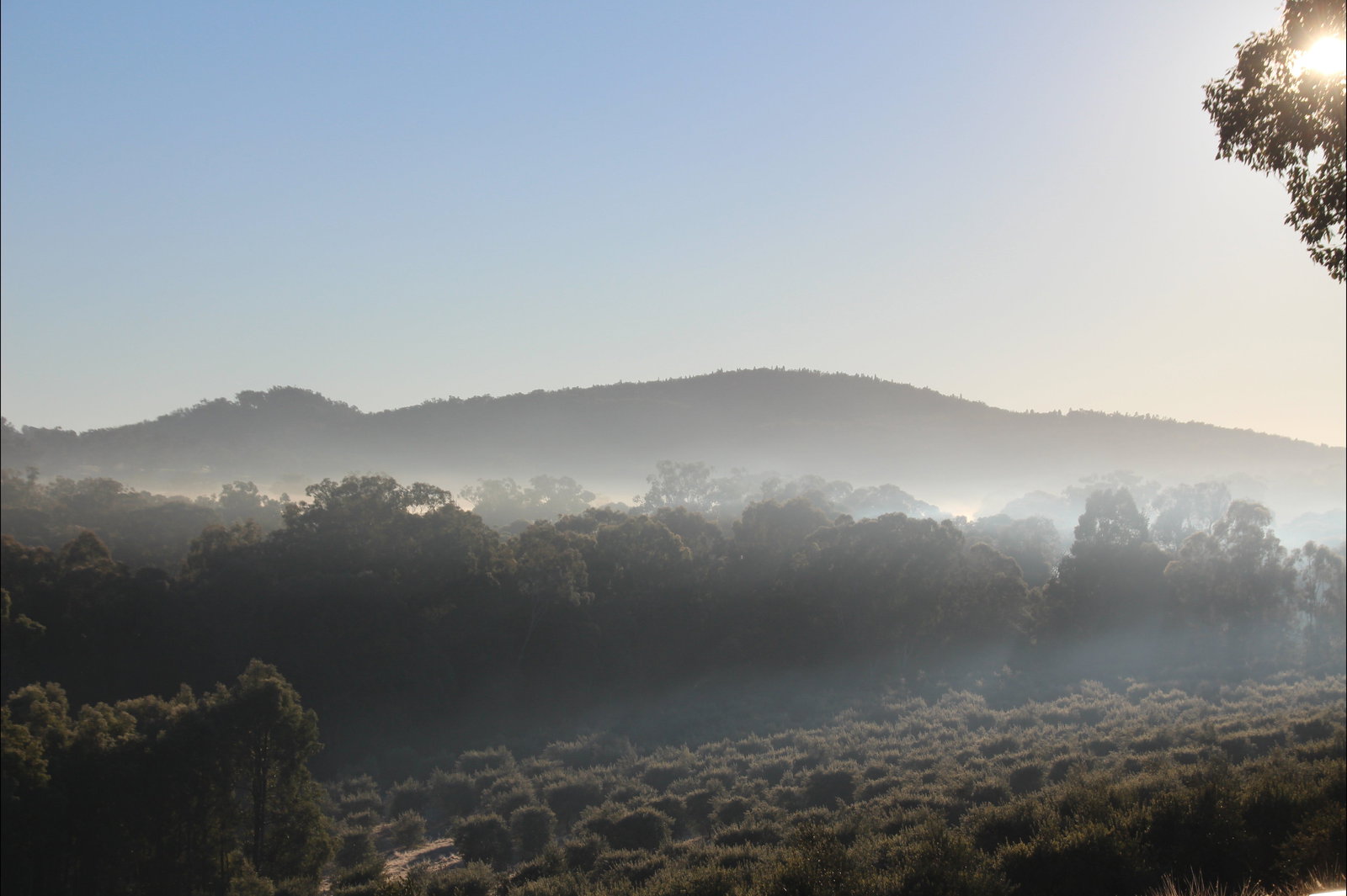 Mullamuddy NSW Restaurant Gold Coast