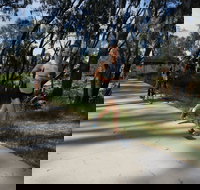 Ned Kelly Chase - Restaurant Gold Coast