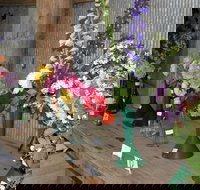 Neville Show - Restaurant Gold Coast