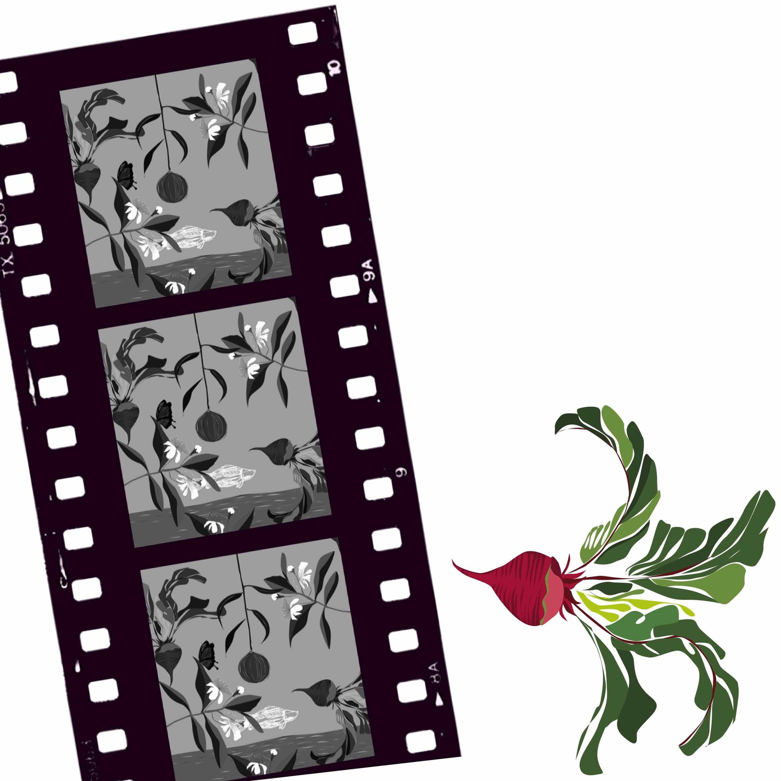 Cairns North QLD Restaurant Gold Coast