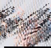 Pulse Perspectives - Restaurant Gold Coast