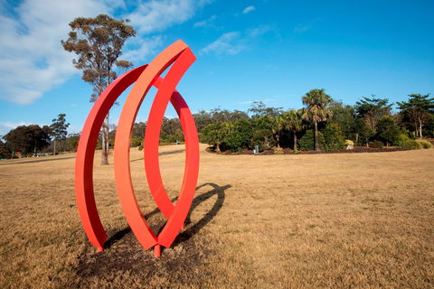 Sculpture For Clyde - Restaurant Gold Coast 0