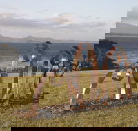 Sculpture Bermagui
