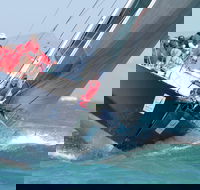 SeaLink Magnetic Island Race Week