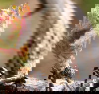 Spring Seasonal Lunch - Restaurant Gold Coast