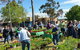 Springwood Growers Market - thumb 1