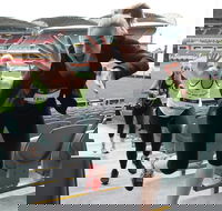 Stadium Stomp Adelaide Oval - Postponed - Restaurant Gold Coast