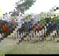 Stroud Show - Restaurant Gold Coast