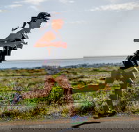 SunSmart Busselton Festival of Triathlon - Restaurant Gold Coast