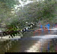 The Man From Snowy River Bush Festival - Restaurant Gold Coast