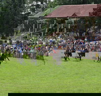 Tumut Boxing Day Races - Restaurant Gold Coast
