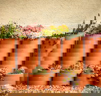 Tumbarumba Spring Flower Festival - Restaurant Gold Coast