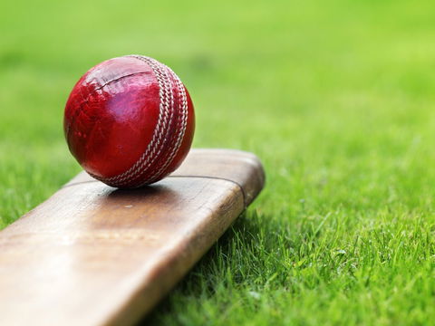 Under 13 14 15 Cricket Youth Championships - Restaurant Gold Coast 0