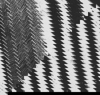 WA Now  Tom Mller Monolith Scores - Restaurant Gold Coast