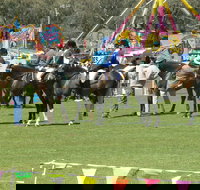 Wangaratta Show - Restaurant Gold Coast