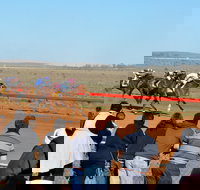 2020 Quorn Cup - Restaurant Gold Coast