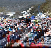 AgQuip - Restaurant Gold Coast