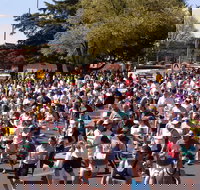 Bathurst Edgell Jog - Restaurant Gold Coast