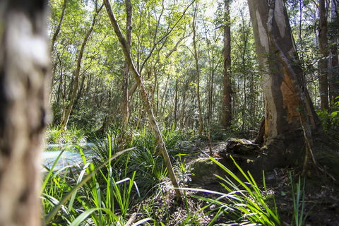 Bottlebutt Bash Trail Run - Restaurant Gold Coast 0