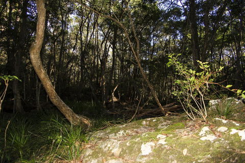 Bottlebutt Bash Trail Run - Restaurant Gold Coast 1