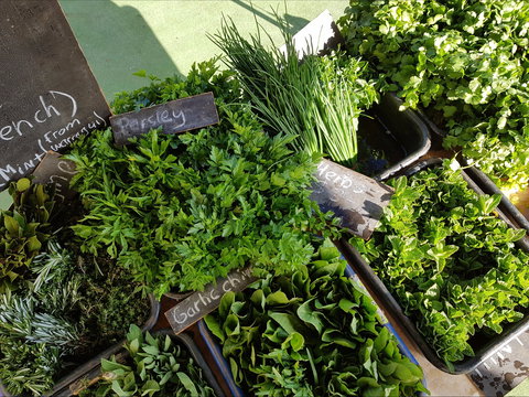 Carlton Farmers' Market - Restaurant Gold Coast 2