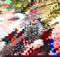 Christmas on the Plains - Quirindi - Restaurant Gold Coast