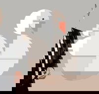 Classics Unwrapped 3 Animals - Restaurant Gold Coast