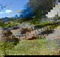 Conservation Volunteers Australia Townsville - Ocean View Nursery - Restaurant Gold Coast