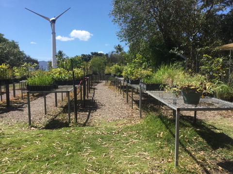 Conservation Volunteers Australia Townsville - Ocean View Nursery - Restaurant Gold Coast 0