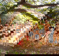 Cooktown and Cape York Expo 2021 - Restaurant Gold Coast