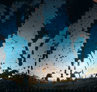 Cootamundra Cup - Restaurant Gold Coast