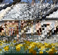 Daffodils at Rydal - Restaurant Gold Coast