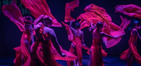 Darwin Fringe Festival - Restaurant Gold Coast 1
