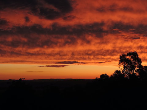 Father's Day At Cottontail Wines - Restaurant Gold Coast 0