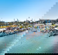 Fred Williams Aquatic Festival