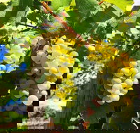 GetawaysSA Bringing Barossa To Your Door - Restaurant Gold Coast