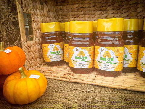 Greater Whitsunday Farmers Markets - Restaurant Gold Coast 1