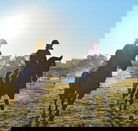 Gunnedah Showjumping Festival - Restaurant Gold Coast