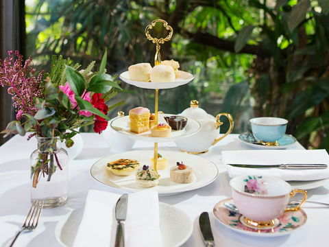 High Tea At Melbourne Zoo - Restaurant Gold Coast 0