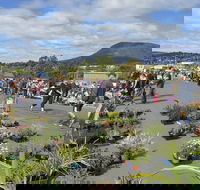 Hobart Showground Sunday Market - Weekly - Restaurant Gold Coast