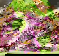 Home style Vietnamese Cooking - Restaurant Gold Coast