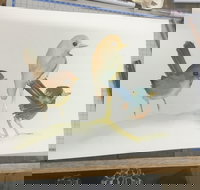 Ink  Watercolour Wash Illustration Workshop - Restaurant Gold Coast