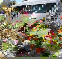 Johns River Country Markets - Restaurant Gold Coast
