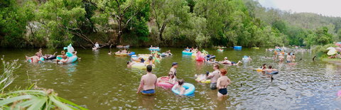 Jungle Love Festival - Restaurant Gold Coast 1