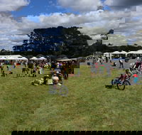 Majors Creek Festival - Restaurant Gold Coast