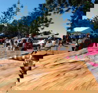 Maleny Wood Expo From Seed to Fine Furniture - Restaurant Gold Coast