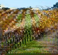 Miners Ridge Wine Tasting - Restaurant Gold Coast