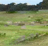 Mount Gambier and District Pony Club Horse Trials 2020
