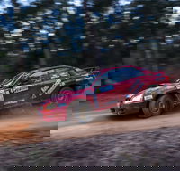 Narooma Forest Rally - Restaurant Gold Coast
