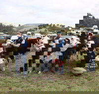 Noorat Show - Restaurant Gold Coast